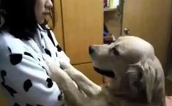 av岛国小电影在线观看